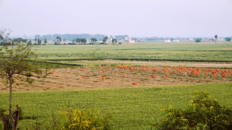 Farm View 2 Shreejee The Farm