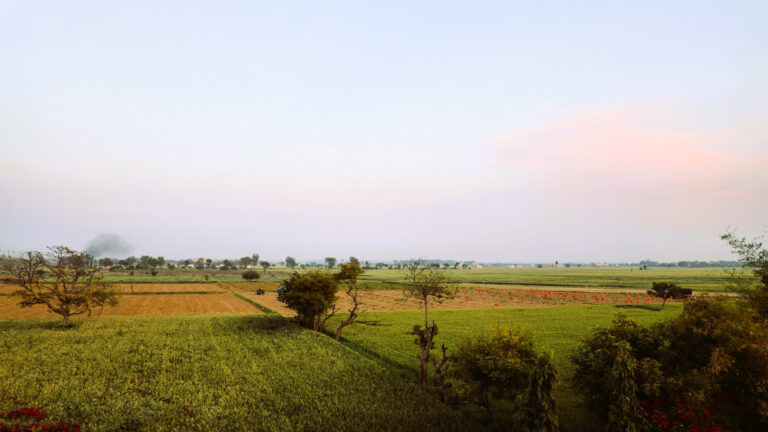 Farm View Shreejee The Farm