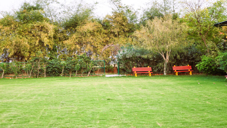 Garden at Shreejee The Farm