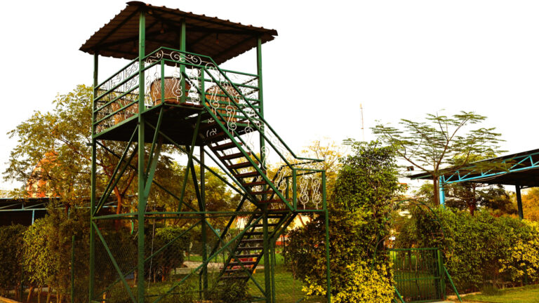 Machan Day at Shreejee The Farm