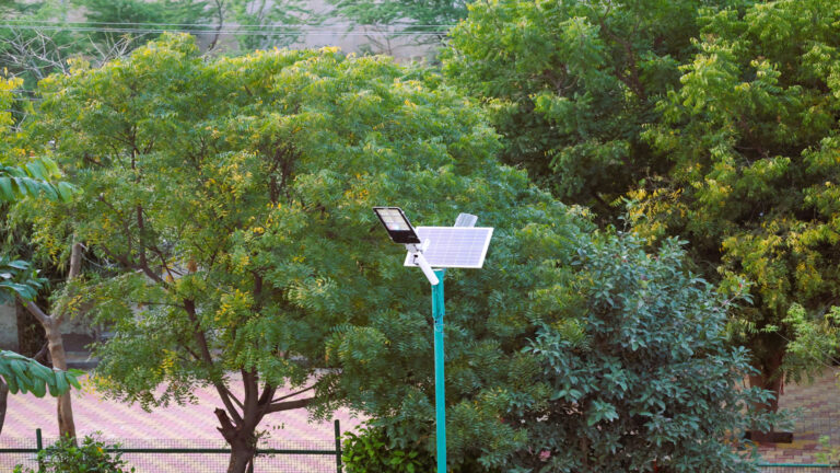 Solar Light Shreejee The Farm