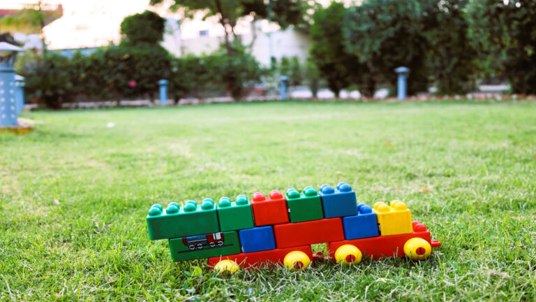 Toys At Shreejee The Farm